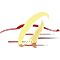 Acelerados
